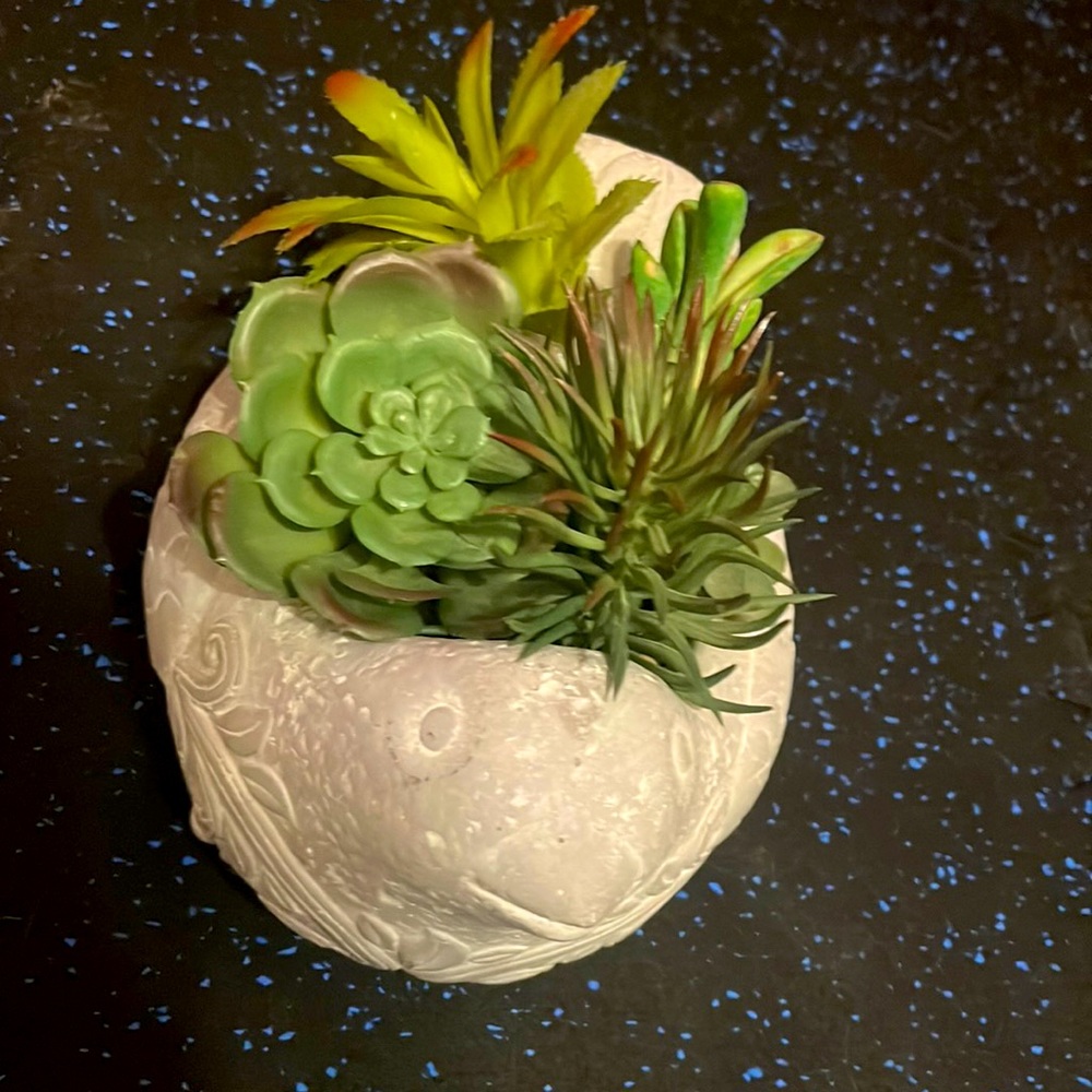 flower bird plant, brand new.